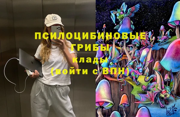 ALPHA PVP Алексеевка