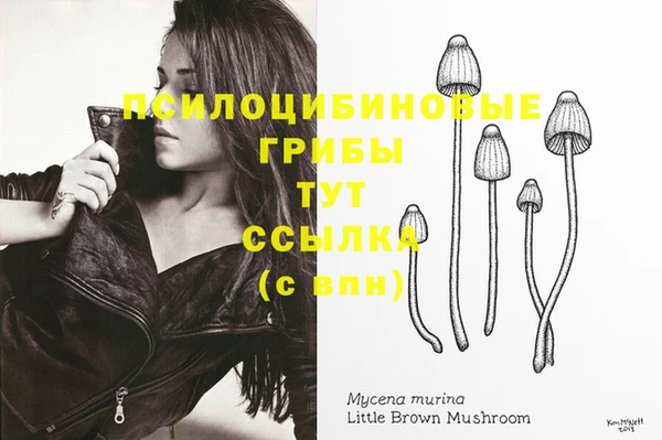 меф Алзамай