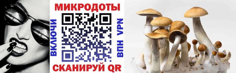 Галлюциногенные грибы GOLDEN TEACHER  купить закладку  Нижний Ломов 